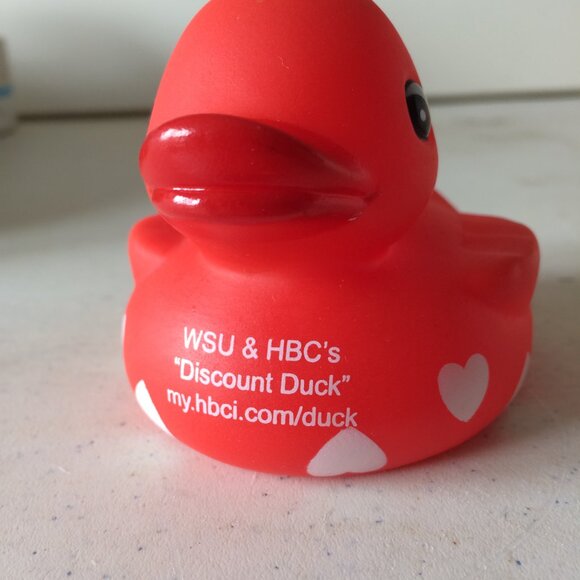 Rubber Ducky Assortment of Seven - Picture 8 of 13